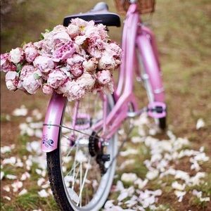 Meet your Posher, Heather